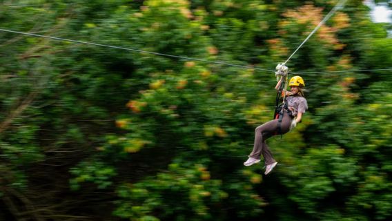 Big Island: Avventura di un giorno intero con le teleferiche e le cascate a Kohala