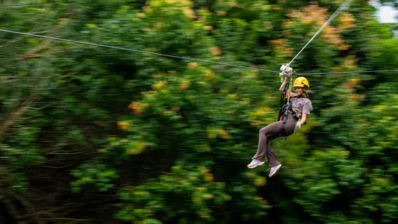 Pulau Besar: Petualangan Zipline Kohala dan Air Terjun Sehari Penuh