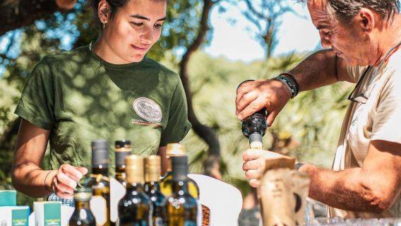 Alghero: Olive Grove Visit with Olive Oil Tasting