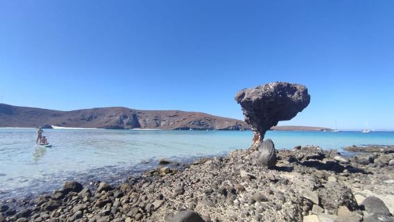 Cabo San Lucas: Balandra Beach and City Tour
