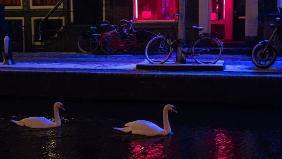 Amsterdam: Red Light District and Coffeeshop Culture Tour
