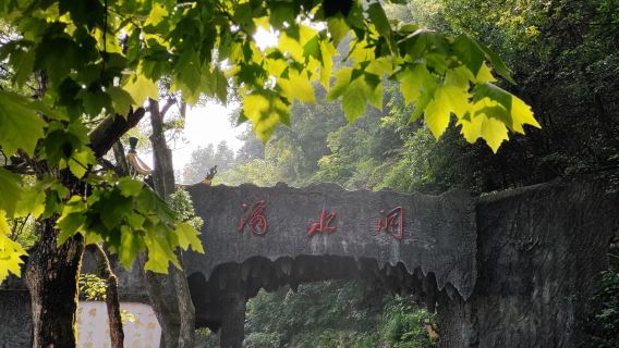 韶山景區隨心遊【故居+銅像廣場+紀念館+車輛通行證】