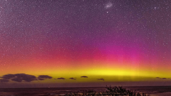 [Limited|Orioniden meteorenregen sterrenkijken] Nachtelijke meteorenregen tour op het Mornington Peninsula, Melbourne