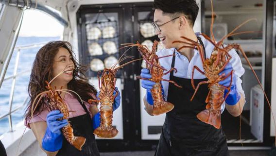 Mandurah, Australia Occidentale: Cattura di aragoste + festa di frutti di mare (aragoste vive catturate + pranzo barbecue di sette portate di frutti di mare + bevande illimitate + avvistamento di delfini e pellicani)