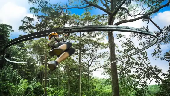 Chiang Mai Jungle Flight - Light of the Jungle | Ziplining [Extra-Long Zip Lines | Atomic Coaster | Speed Thrills | City Transfers]