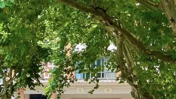 มหาวิทยาลัยทงจี [แนะนำ · นักศึกษามหาวิทยาลัยทงจี] รวม ล่าม/การจอง/การแบ่งปันชีวิตในมหาวิทยาลัย