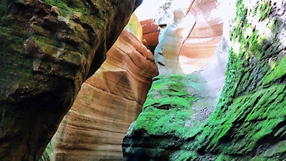 1-day private chartered tour to Ganquan Canyon (departing from Xi'an, round-trip on the same day, optional vehicle types available)