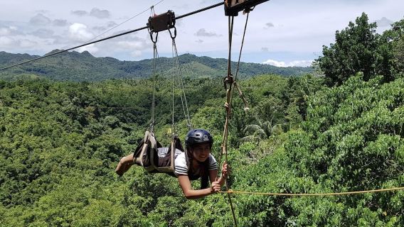 Philippines Bohol Island "New" Land Tour Bamboo Forest Park | Discovery Park | Mirror of the World | Philippine Massage | Chocolate Hills | Tarsier