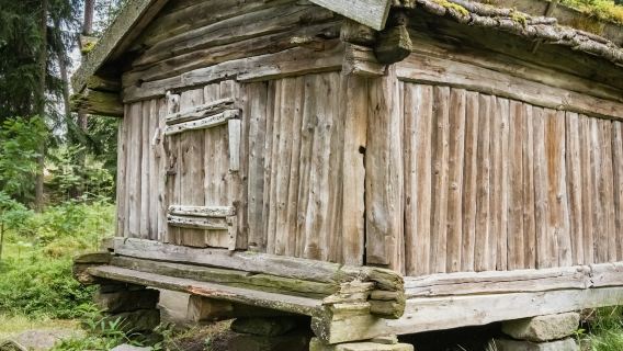 Helsinki-Sightseeing-Tour und Seurasaari-Freilichtmuseum