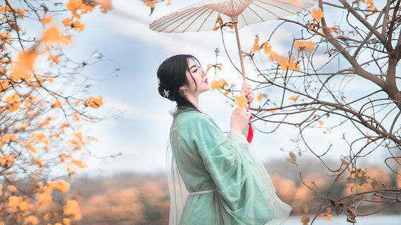 선전