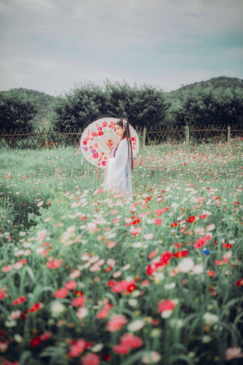 Zhanjiang Reisefotografie[Fahrer, Reiseleiter und Fotograf für Trip Moments + Hochzeitsfotografie mit Drohnen-Kurzfilm + Make-up und Kostüme + individuelle Reiseplanung + alle Originalfotos inklusive]