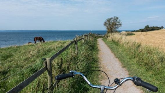 Self-guided tour all around Øresund