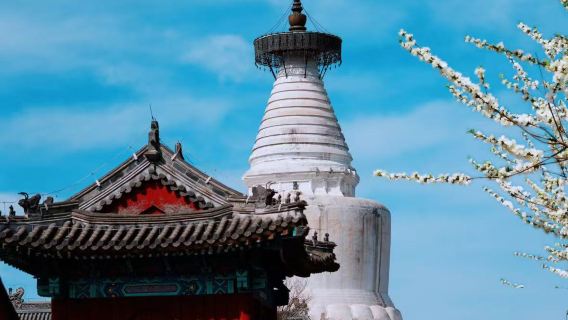 [ทัวร์วัฒนธรรมตรอกซอกซอย] เช็กอินบ้านเก่าของลู่ซิ่น เดินเล่นตรอกซอกซอยเก่าแก่ของปักกิ่ง ถ่ายรูปคู่กับเจดีย์ขาว