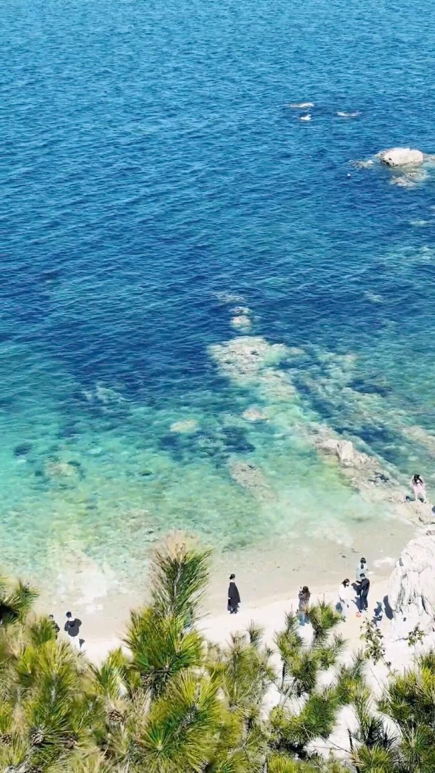 Partenza da Qingdao - Tour di un giorno all'Isola Yangma con servizio in cinese e inglese | Trasferimento andata e ritorno