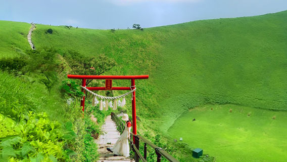 伊東市日遊