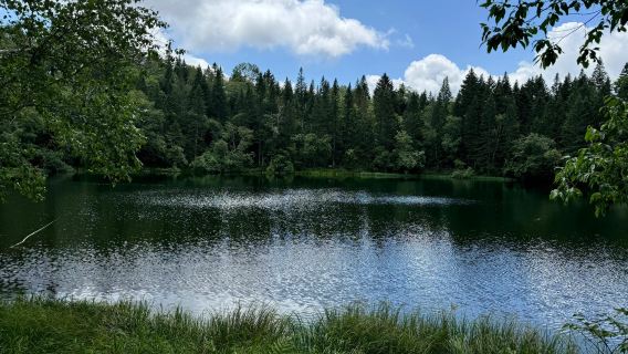 長白山西坡一日遊【含漂流撫鬆/二道起止2-8人小團上門接送】
