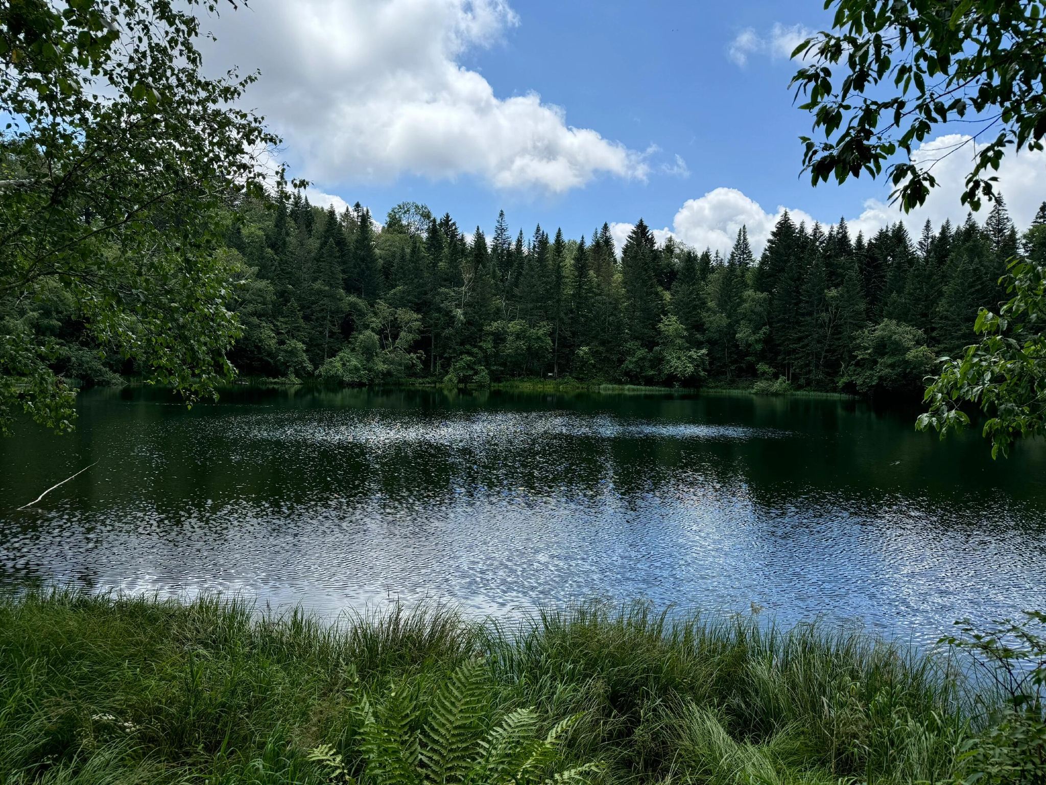 長白山西坡一日遊【含漂流撫松/二道起止2-8人小團上門接駁】