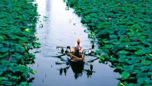 Shijiazhuang Departure Taihang Red Cliff Vortex 1-day Tour