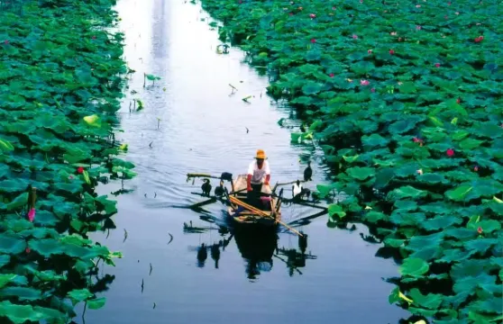 石家莊出發太行赤壁旋流一日遊