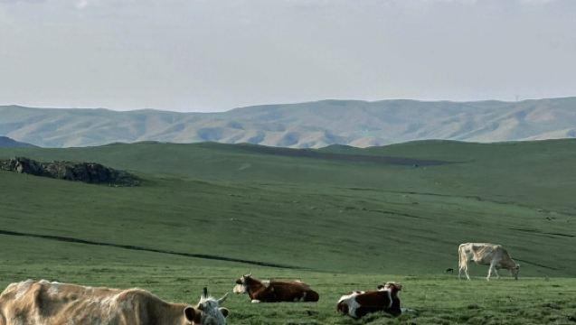 呼和浩特+紅石崖國家生態公園+敕勒川草原一日遊【內蒙阿勒泰】