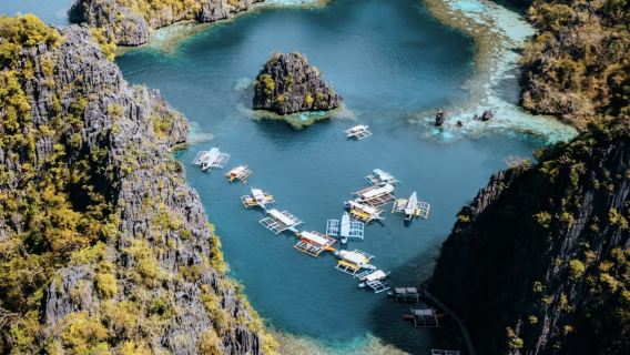 菲律賓全境 專業翻譯|旅遊地陪|商務翻譯|展會翻譯|陪同拜訪|中&菲律賓語&英語翻譯