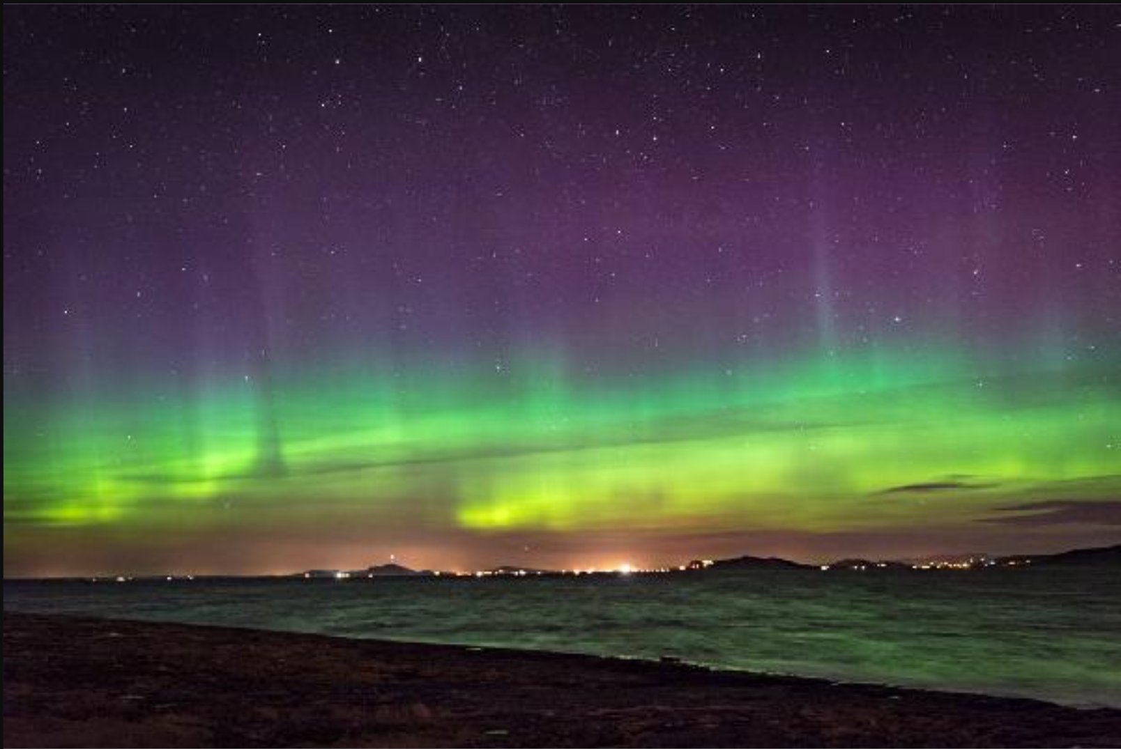 Crociera per l'aurora boreale a Tromso in Norvegia ++ Cena inclusa + Tour in inglese di 3 ore