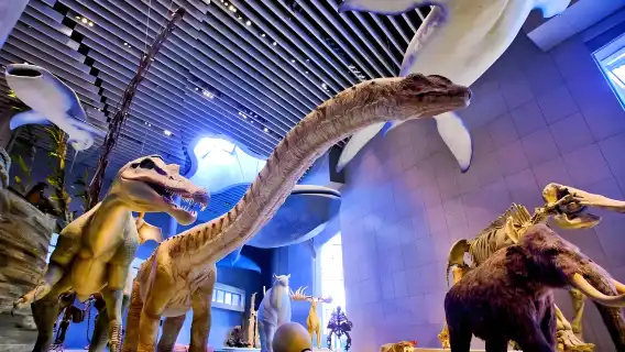 上海自然博物館探秘:海量絕世標本 全方位展現生命演化