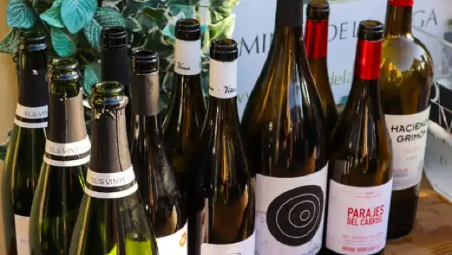 Wine Tasting with Professional Sommelier in centre Valencia