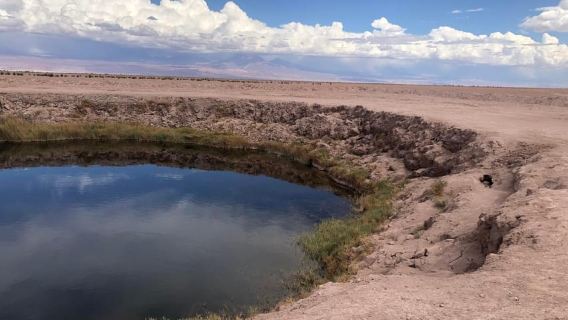 San Pedro de Atacama: Cejar-Lagune, Tebenquiche und Ojos Salar