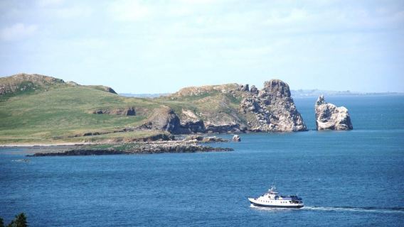 Dublino: crociera nella baia di Dublino da Dún Laoghaire a Howth