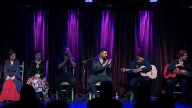 Alicante: Passionate Flamenco with tapas dinner in the Port