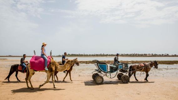 Djerba MidounTours