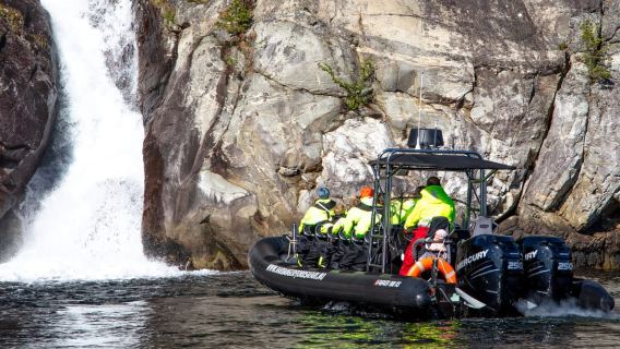 Eidfjord: 1-Hour Fjord RIB Tour