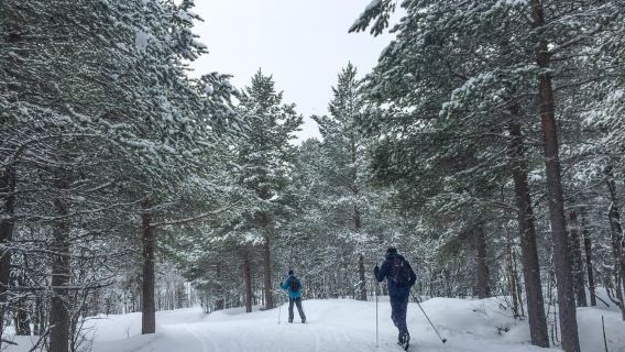 Geilo: assaggiatore di sci di fondo