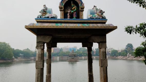 Vivi l'esperienza del Tuk Tuk a Chennai - Tour privato