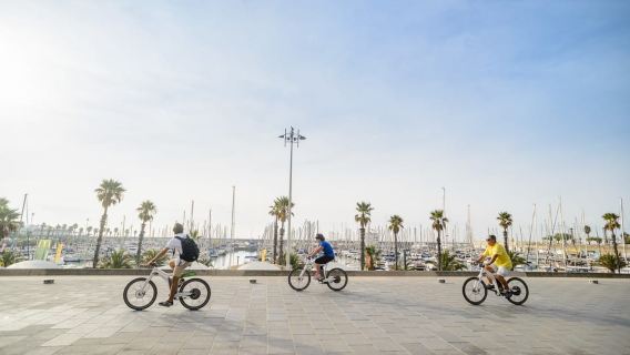 Da Barcellona: tour privato del vino di Alella in bicicletta elettrica