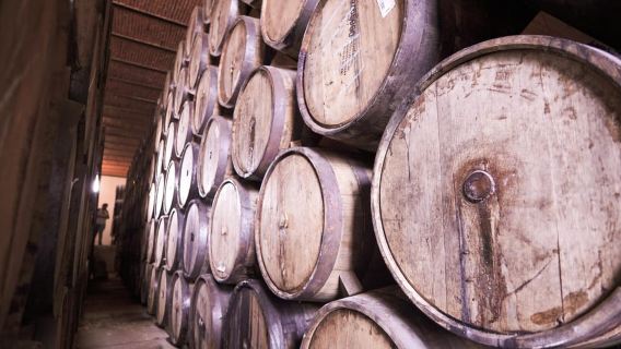 Klassische Tequila-Route-Tour ab Guadalajara und Cantaritos el GÜERO!!!