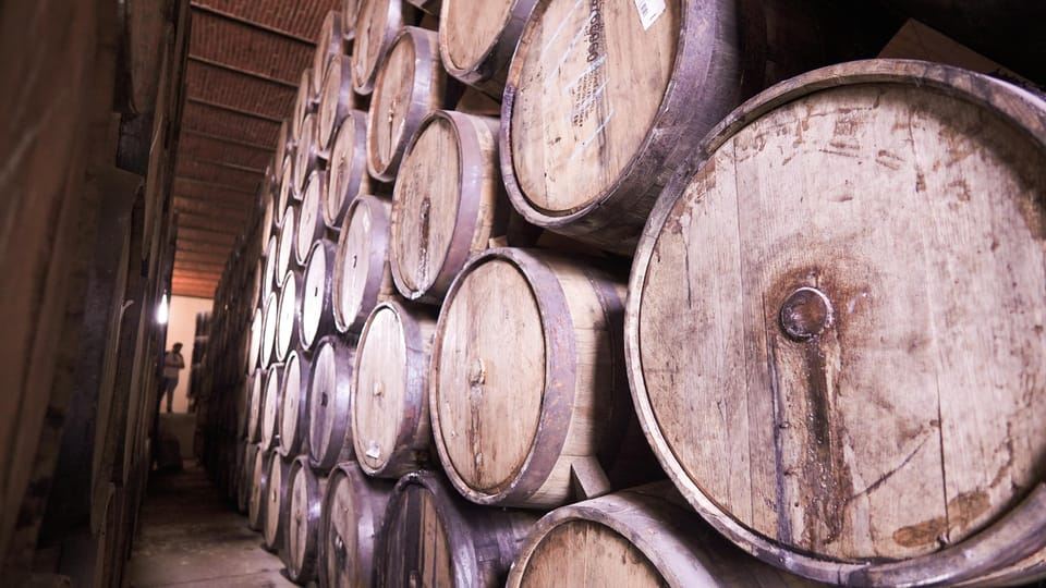 Classic Tequila Route Tour from Guadalajara and a few drinks at El Güero!!!