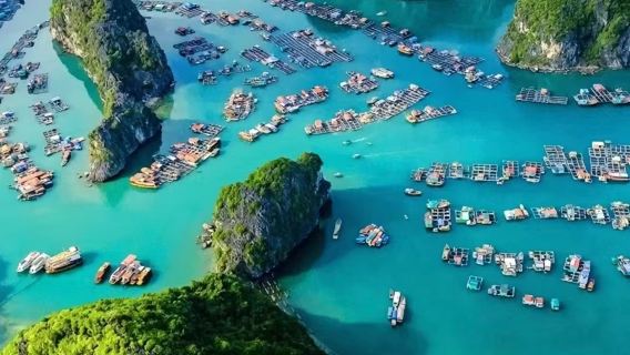 Vietnam – Private 1-day tour to Ha Long Bay with caves, kayaking, bamboo boat from Hanoi
