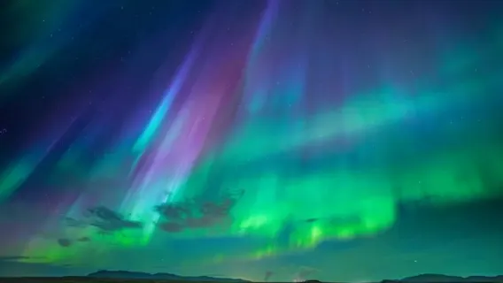 Reykjavik, Iceland: Northern Lights Night Tour (cruise/Minibus + Guaranteed Aurora + Photography)