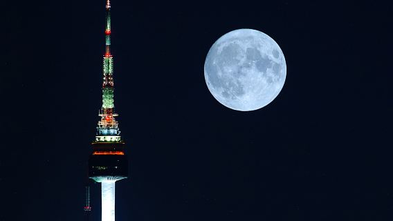 [Con guía turístico] Excursión de medio día a pie por la muralla de Namsan en la Torre de Seúl (incluye entrada al observatorio)