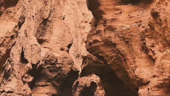 【純玩團】尉犁縣葫蘆島+塔克拉瑪干沙漠+胡楊一日遊