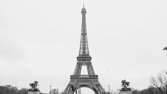 Excursion d'une journée à Paris [Cathédrale Notre-Dame + Tour Eiffel + Île de la Cité + Montmartre + Av. des Champs-Élysées]