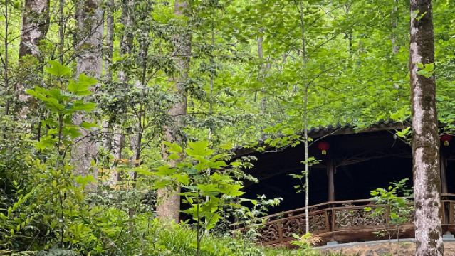 1-day private charter tour to Quzhou Ancient City + Gen Palace Buddhist Kingdom with Chinese and English services