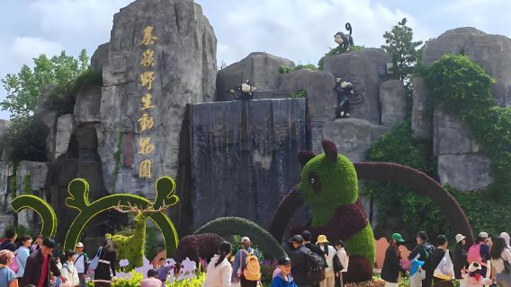 Reserva de entradas al Parque de Vida Silvestre Qinling + Traslado de ida y vuelta (ida y vuelta desde la ciudad de Xi'an)