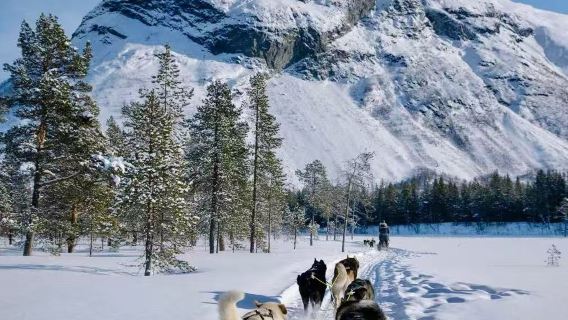 美國費爾班克斯藍冰洞徒步＋追極光【中文包車＋全線定制】