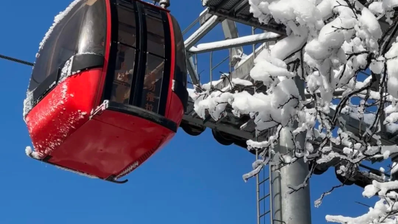 【2-8人獨立出行】瓦屋山風景區含門票金花橋索道三環內接送