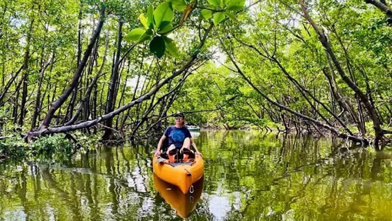 Esplorazione in kayak del parco geologico della mangrovia di Langkawi - Kisap, 4 ore