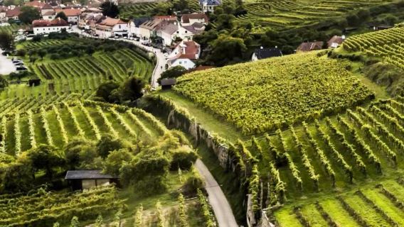 奧地利維也納梅爾克+瓦豪河谷【中文司機+私家包車+行程定制】