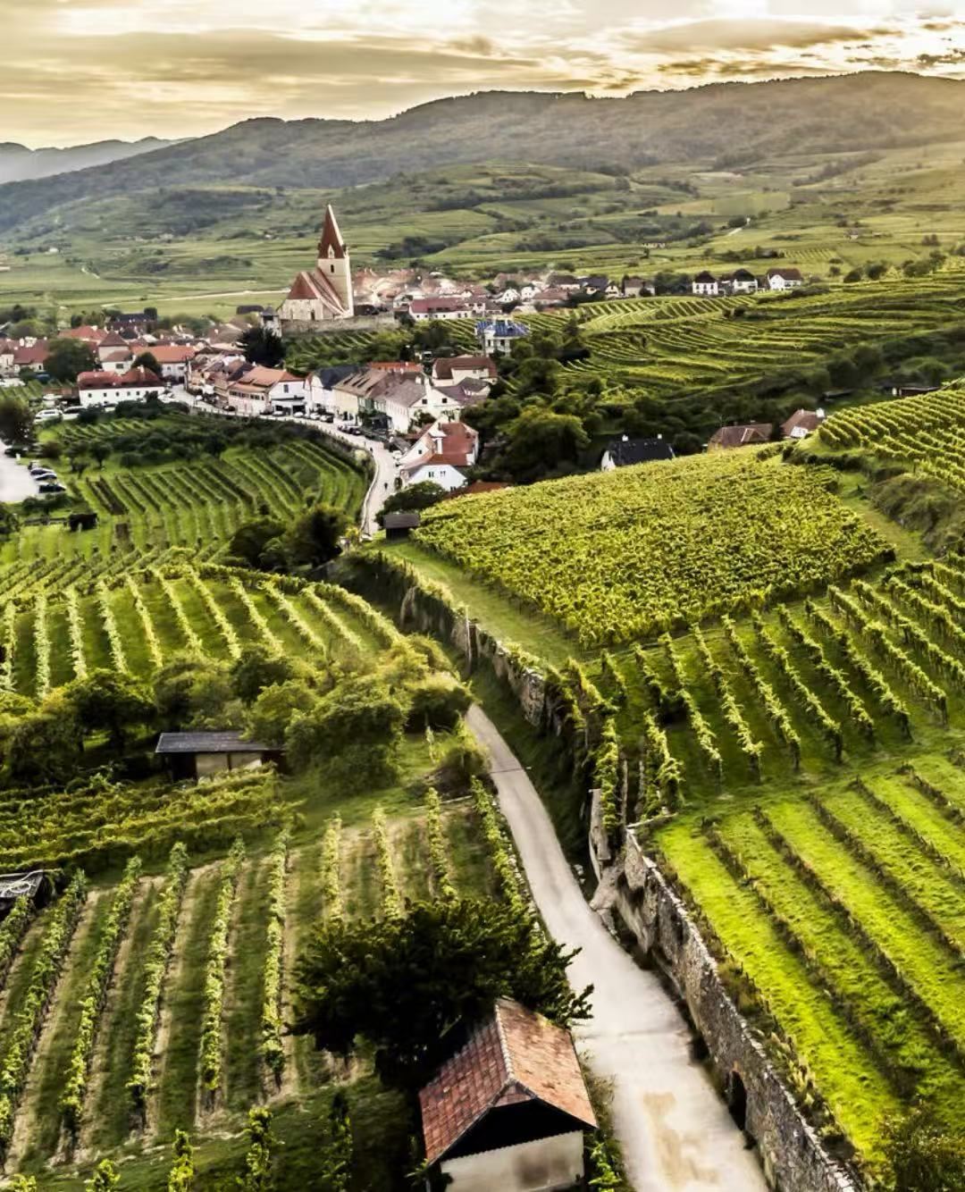 奧地利維也納梅爾克+瓦豪河谷【中文司機+私家包車+行程定制】